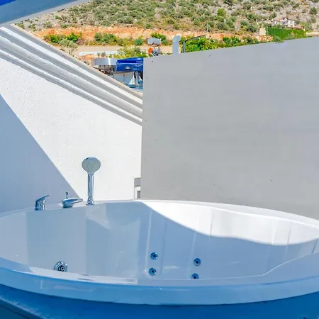 Turkuaz Проживание в семье