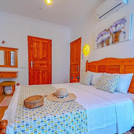 Turkuaz Проживание в семье