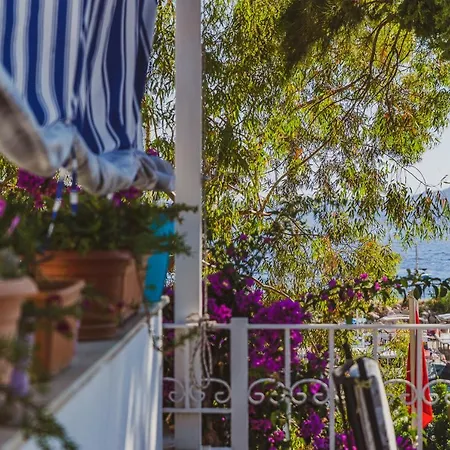 Turkuaz Проживание в семье *