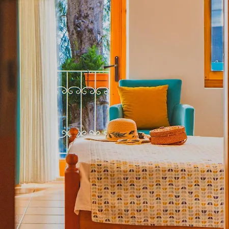 Проживание в семье Turkuaz