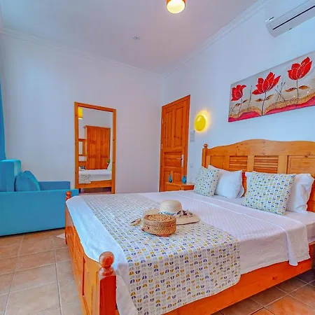 Turkuaz Homestay *