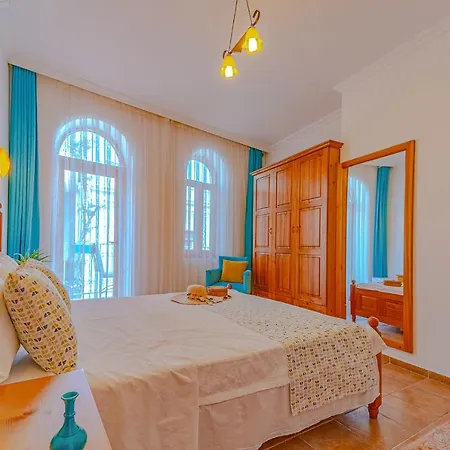 Turkuaz Kalkan