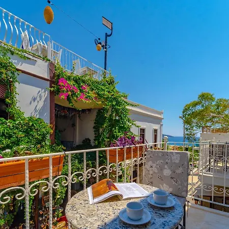 Turkuaz * Kalkan