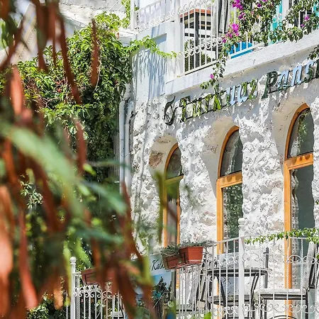 Turkuaz * Kalkan