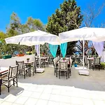 Turkuaz * Kalkan