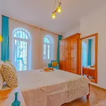 Turkuaz Kalkan