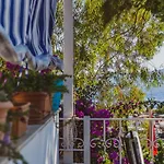 Turkuaz Homestay *