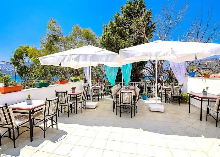 Turkuaz * Kalkan
