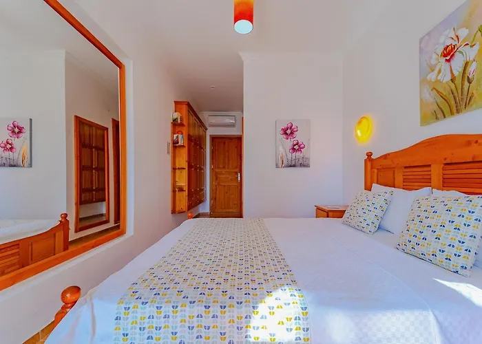 Turkuaz Kalkan
