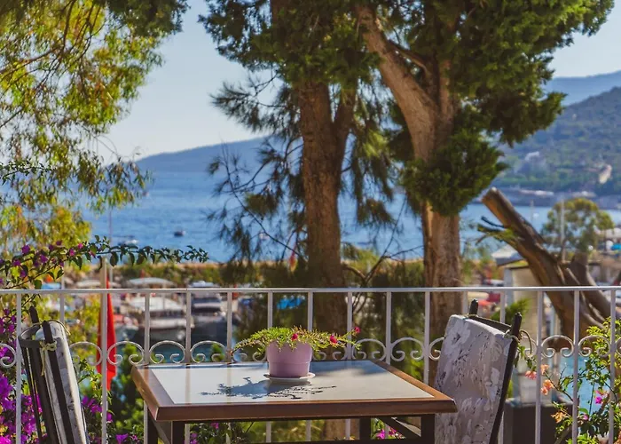 Turkuaz Séjour chez l'habitant Kalkan