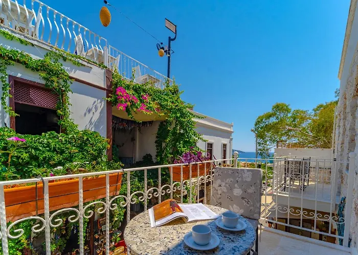 Turkuaz * Kalkan