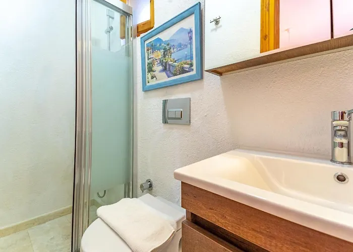 Turkuaz * Kalkan
